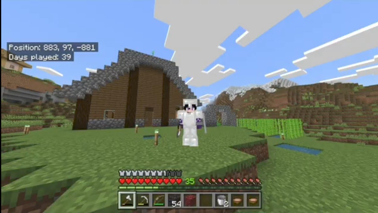 Minecraft part 5 (the Nether)