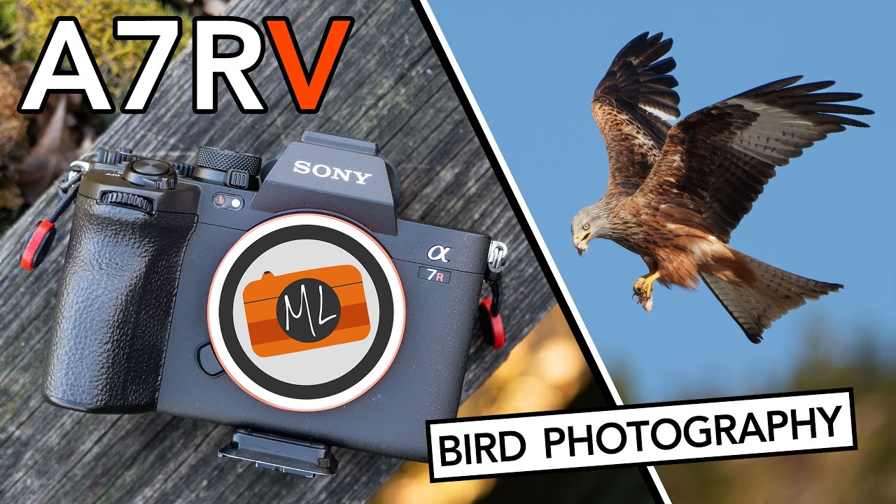 Sony A7R V: Bird Photography / Birds In Flight Review (+ Bird Eye AF Explained)