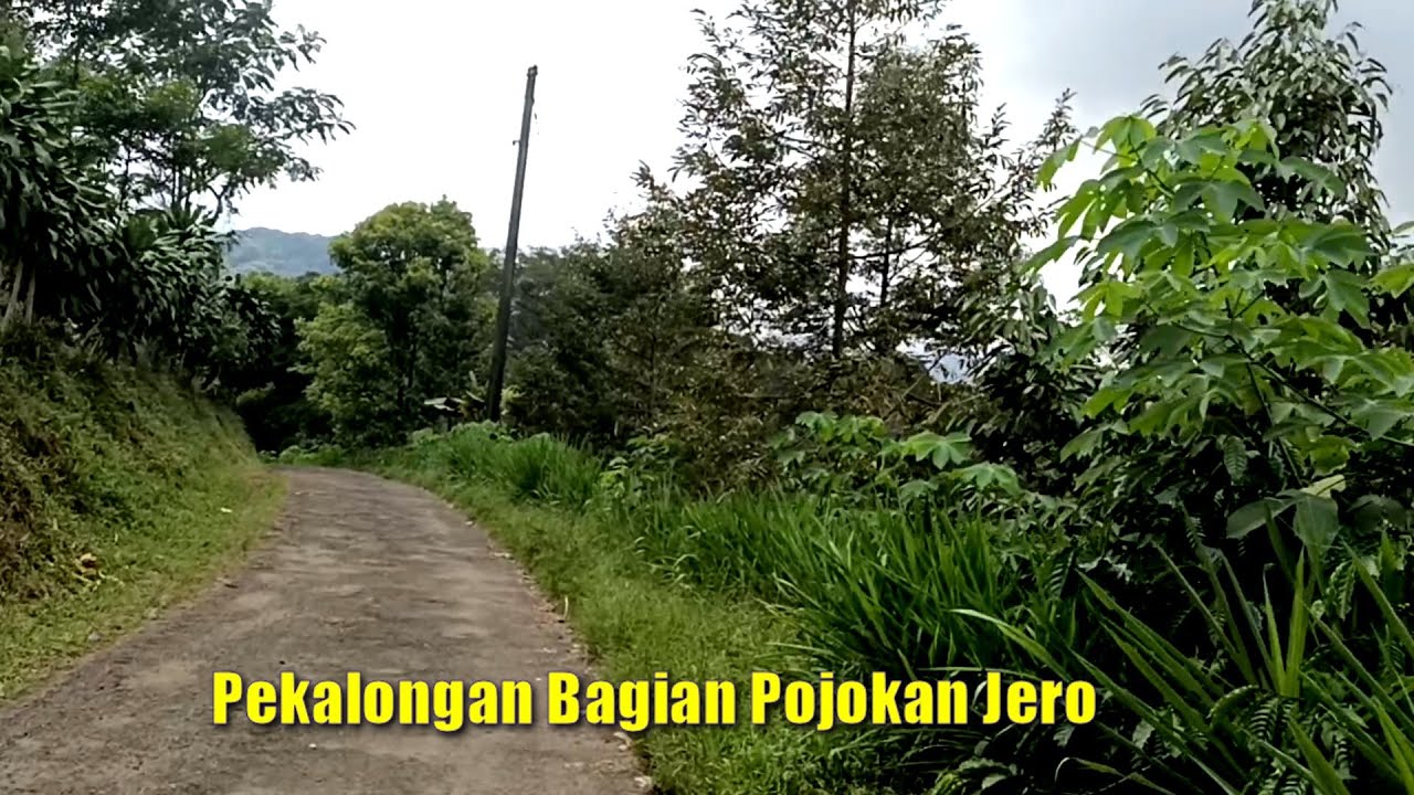 Asyiknya Menyusuri Jalan Perkampungan di Pelosok Pekalongan