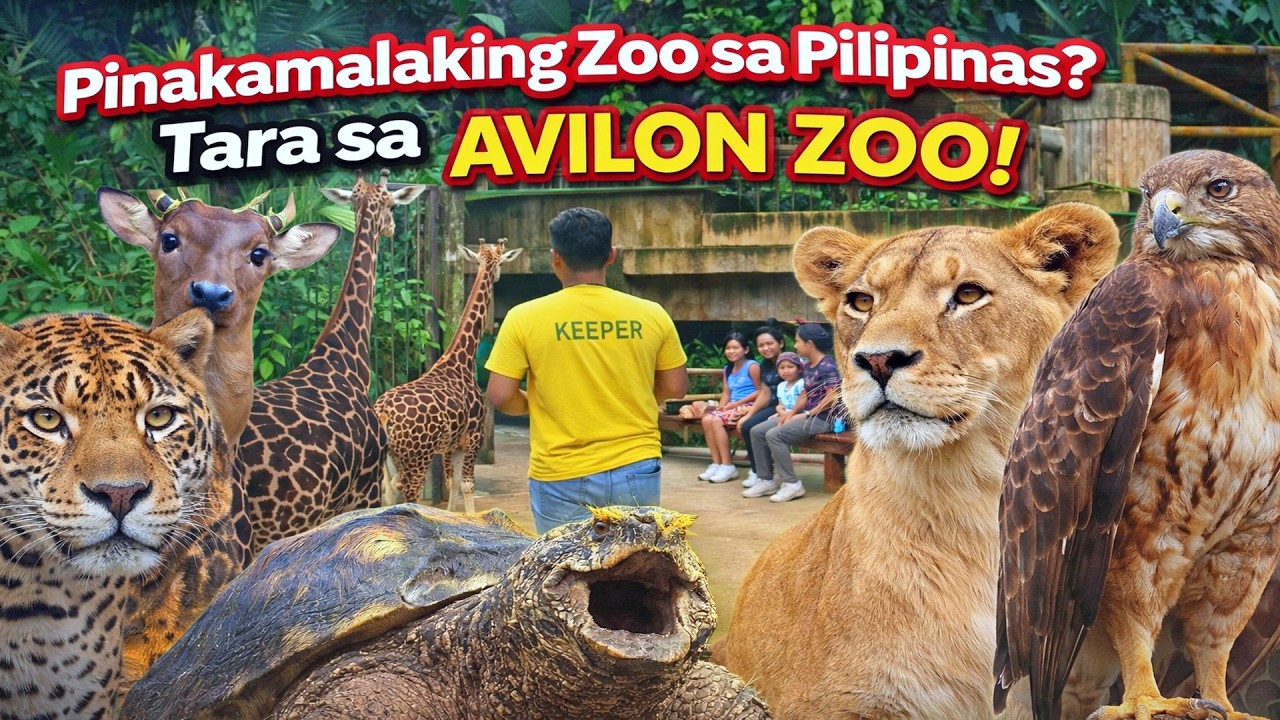 Grabe ang Laki! 😲 AVILON ZOO Full Tour Experience + Reactions