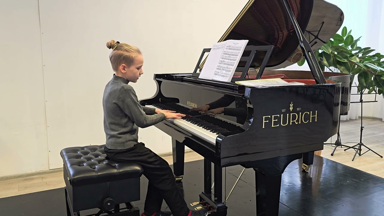 Frederic Chopin - Prelude in E Minor 