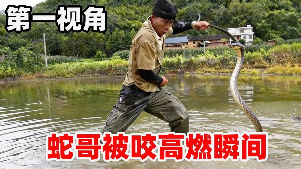 你们不是都好奇蛇哥怕不怕被咬吗？被咬翻车集锦来了！更有被眼王咬后历程！#snake