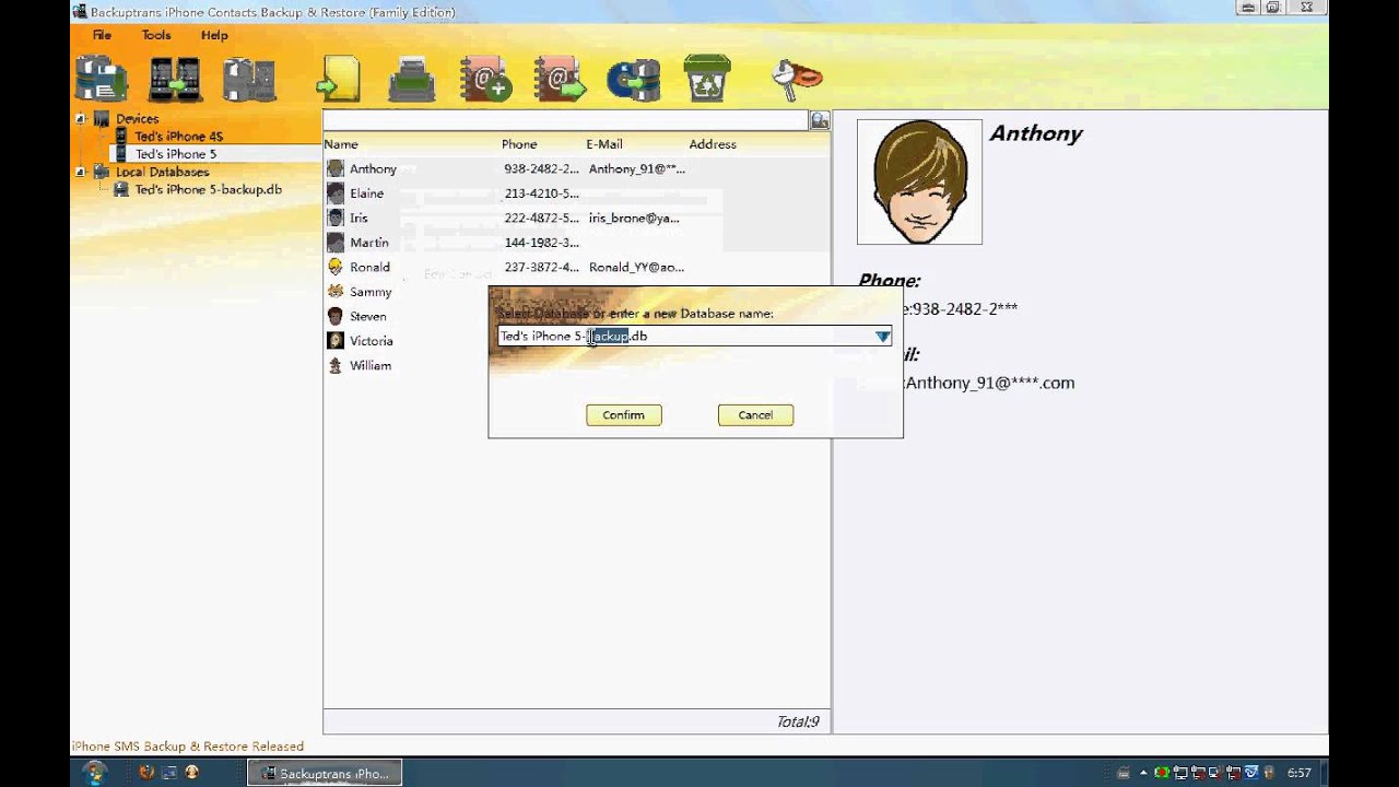 iPhone 3GS Contacts Backup and manage on PC