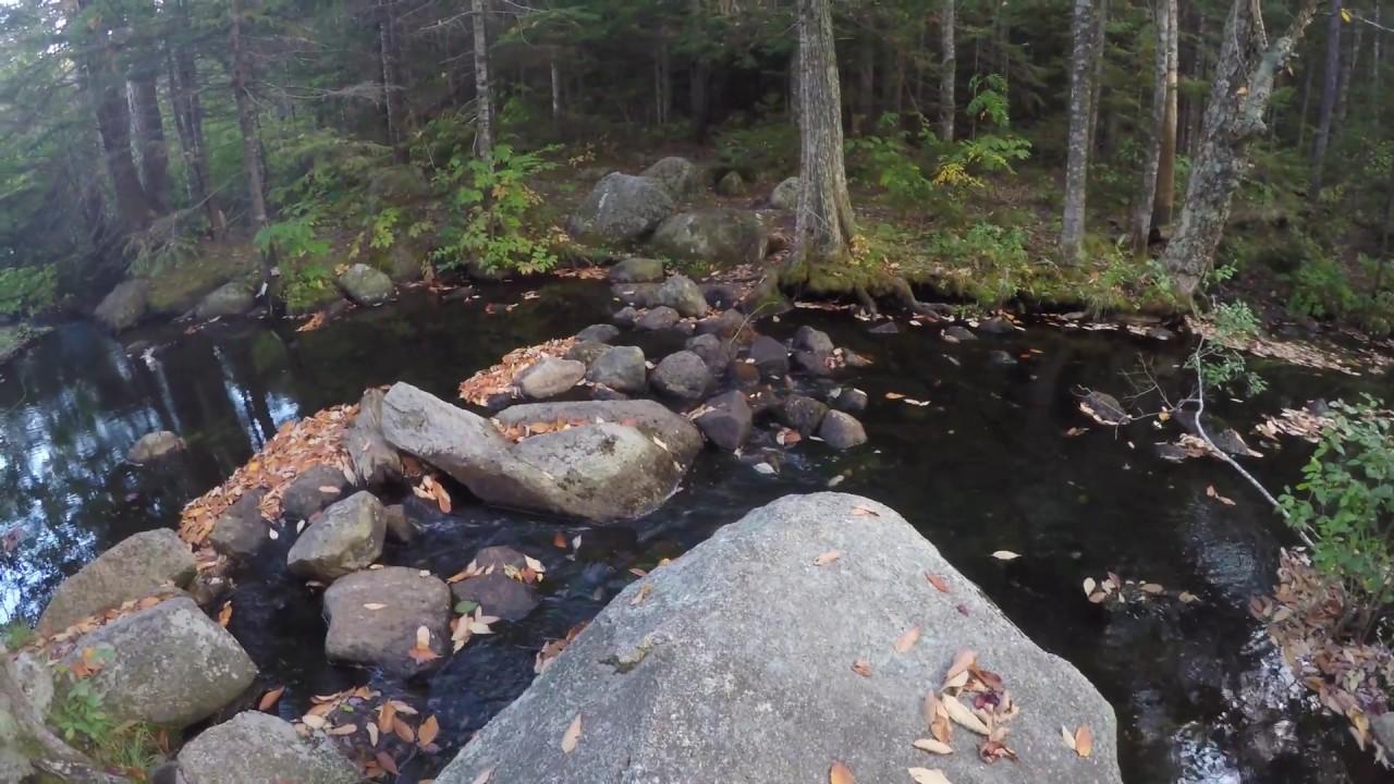 New Hampshire,  Sawyer Pond Tent sites