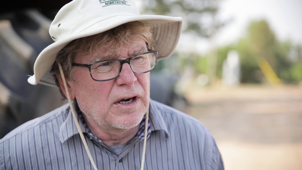 Cow Size as it Relates to Herd and Feedlot Performance - Dr. Kris Ringwall, NDSU Research Center