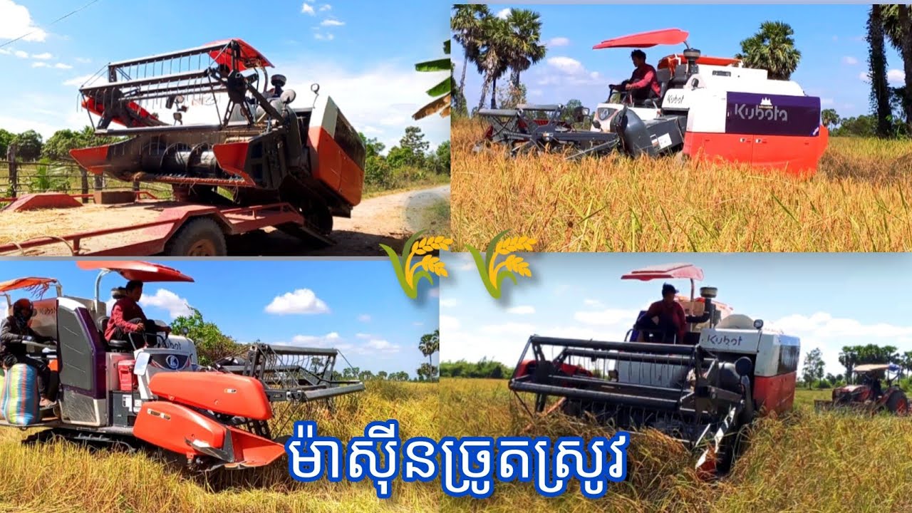 ម៉ាស៊ីនច្រូតចុះពីលើត្រាក់ទ័រដើម្បីច្រូតស្រូវ🌾🌾This is a machine for harvesting. DC 70 BRO 