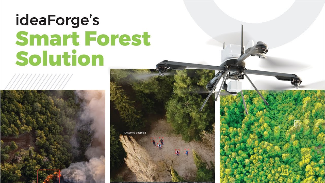 Smart Forest Solutions: The Future of Forest Management