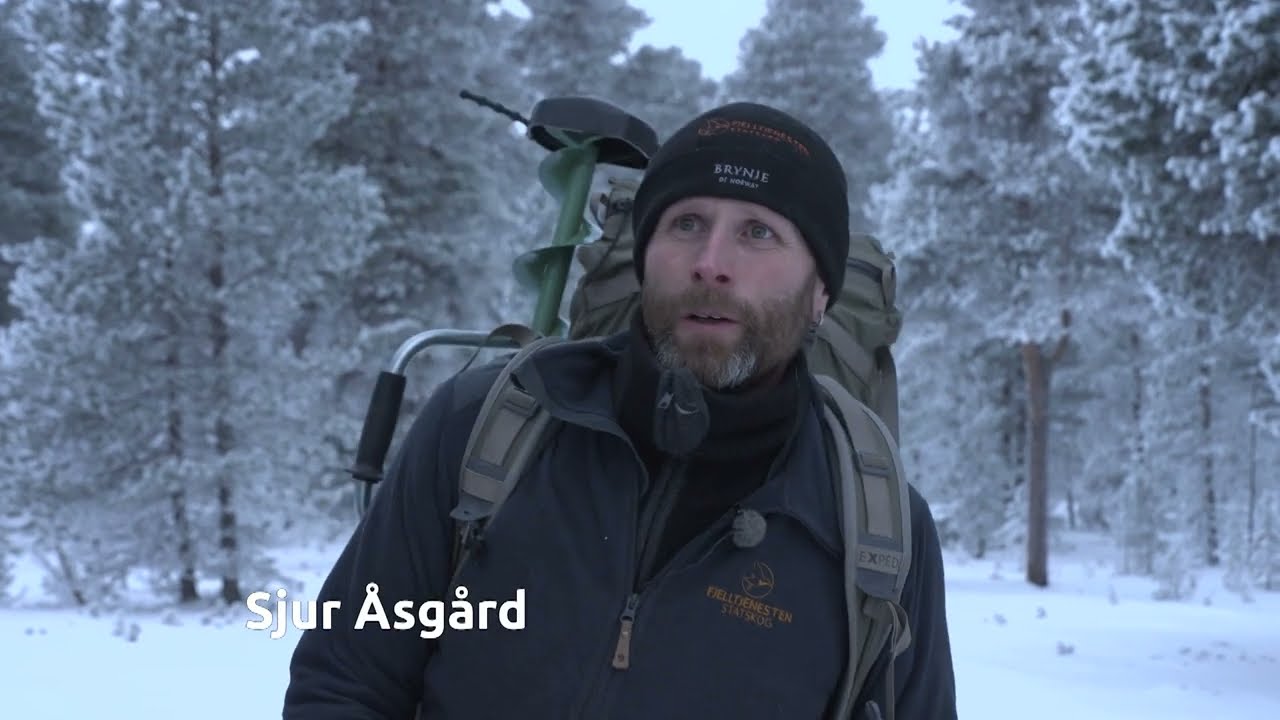 Restaurering av vernet bu og nedskjæring av elg