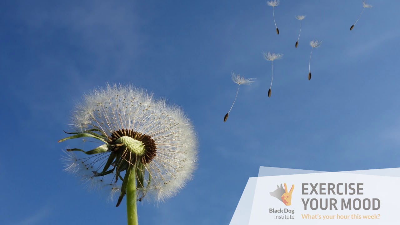 Guided meditation - Belly breathing