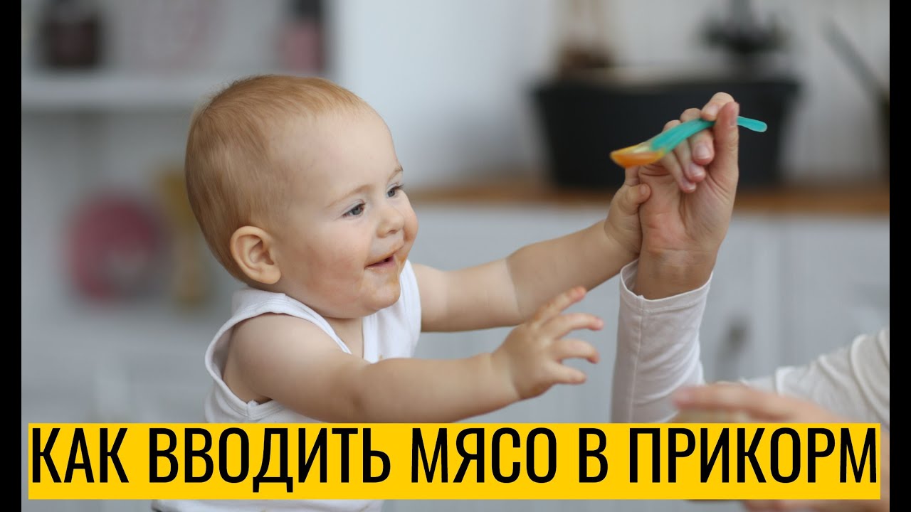 Когда и как вводить мясо в прикорм ребенку