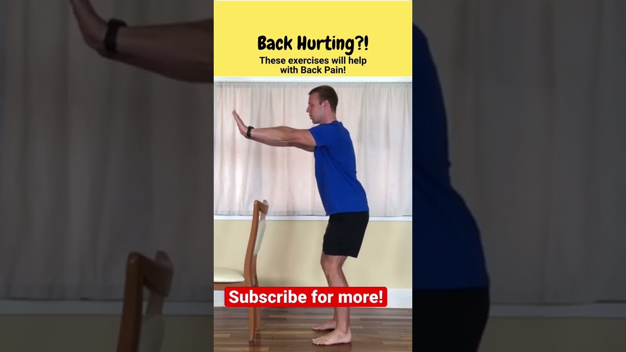 Back pain relief exercises for seniors and beginners. #chairexercises #seniorfitness
