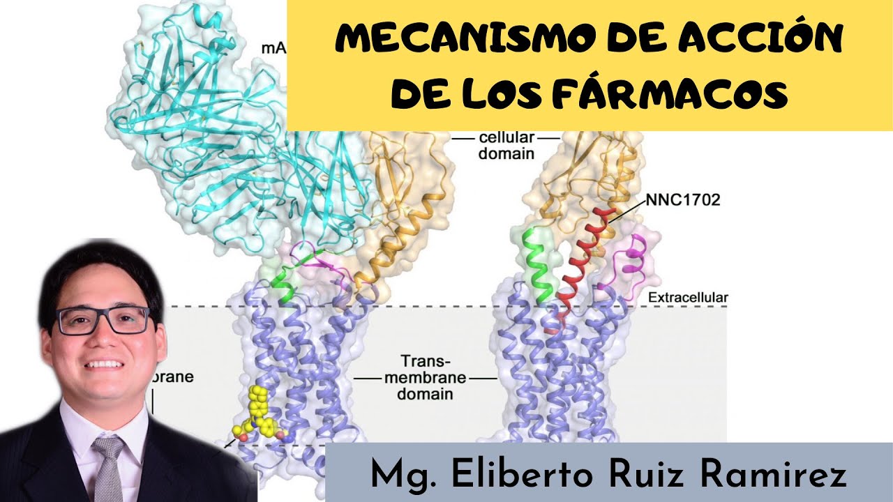 MECANISMO DE ACCIÓN DE LOS FÁRMACOS - Eliberto Ruiz Ramirez