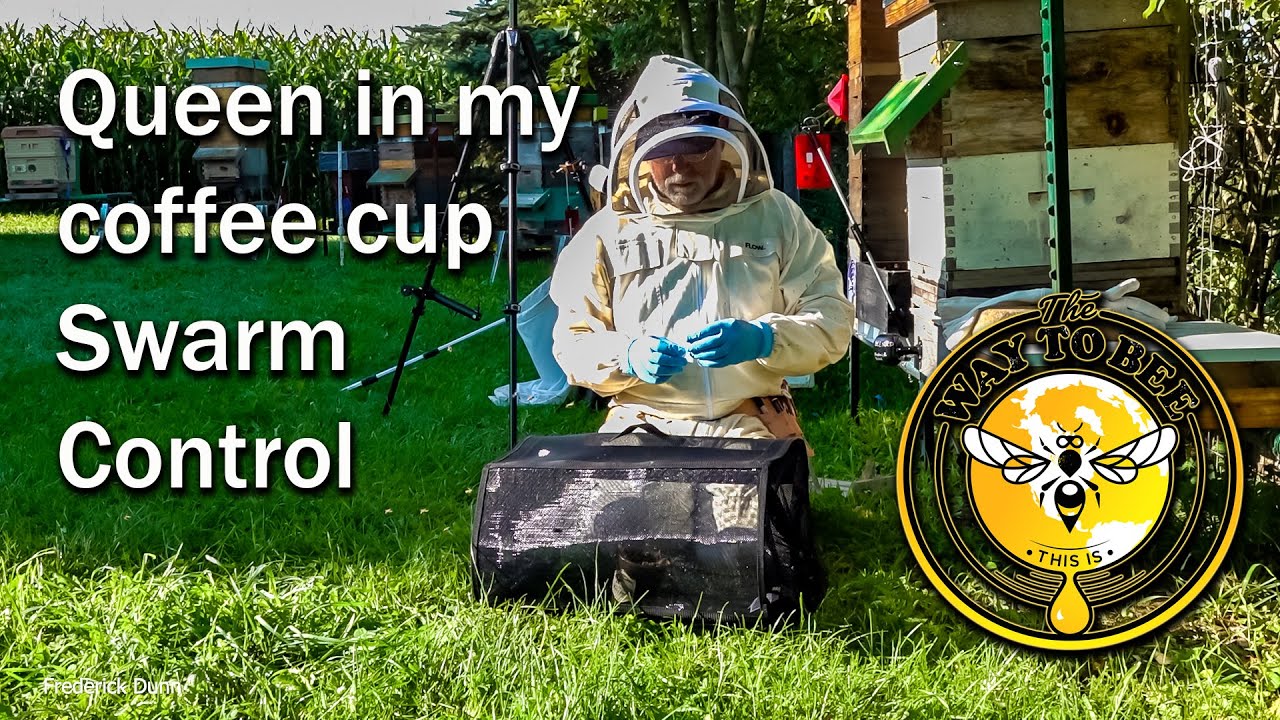 How Not to Lose your Honey Bee Queen, And how to control your queen while marking her.