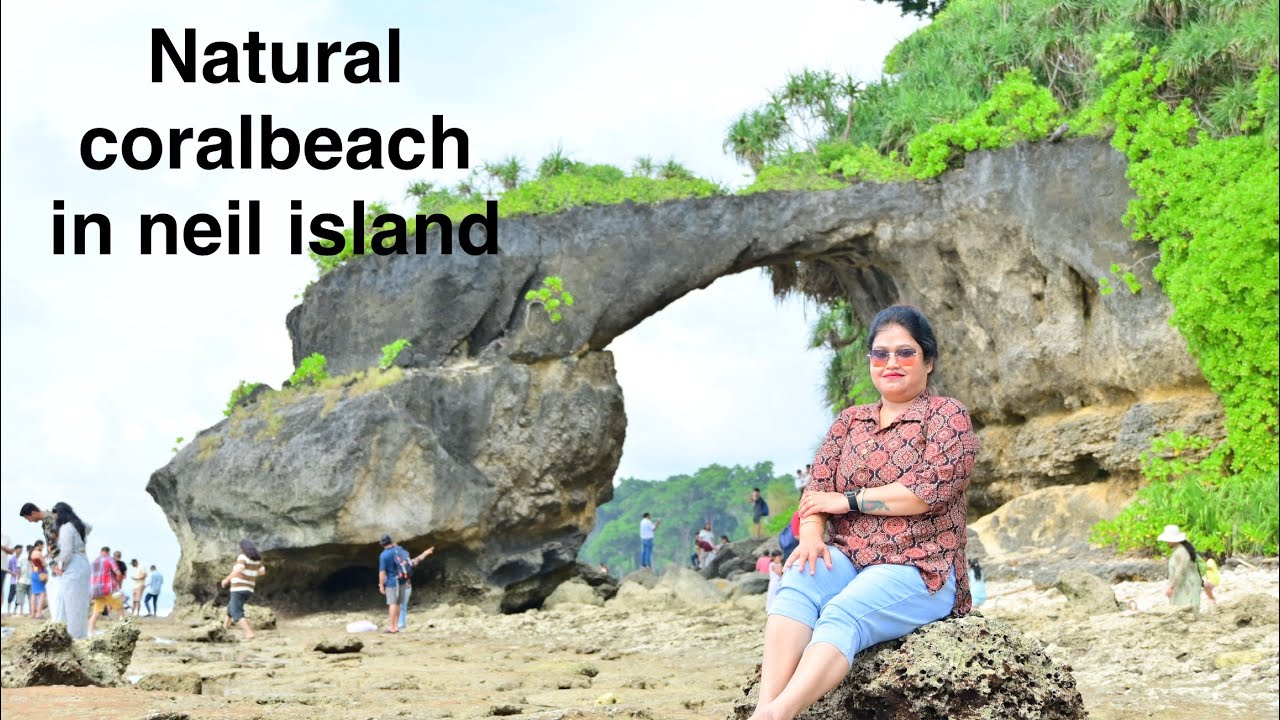 Natural beach#coralisland #travel #neilisland #nature #naturalbeauty #minivlog #beauty 
