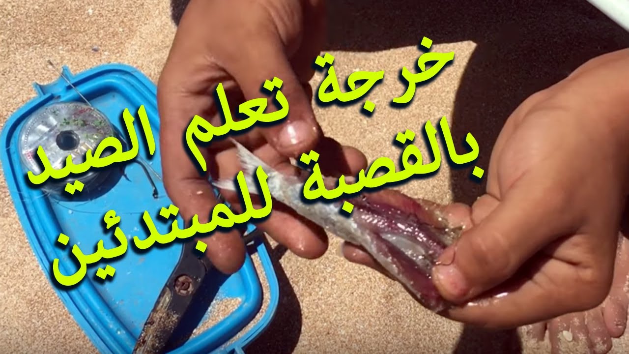 Initiation à la Pêche Oualidia Sidi Abed | خرجة تعليم الصيد بالقصبة للمبتدئين الوالدية سيدي عابد
