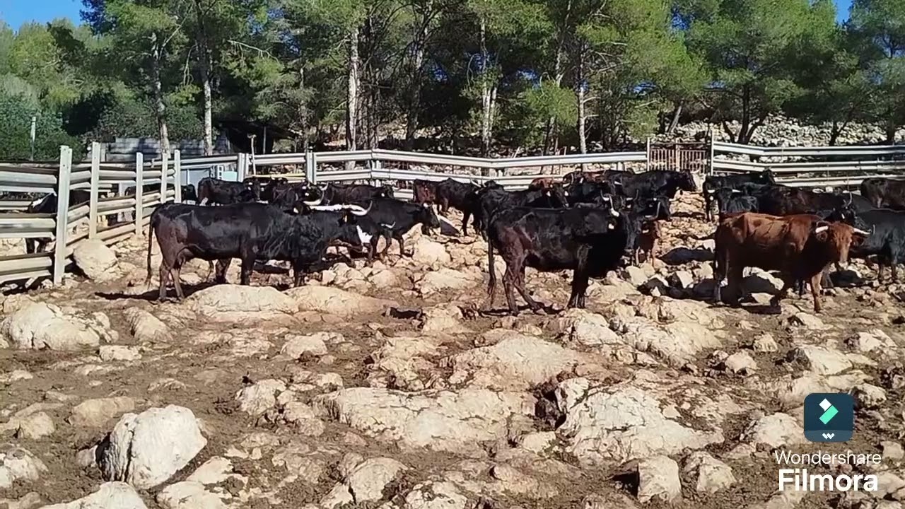 Visita Ganaderia La Paloma
