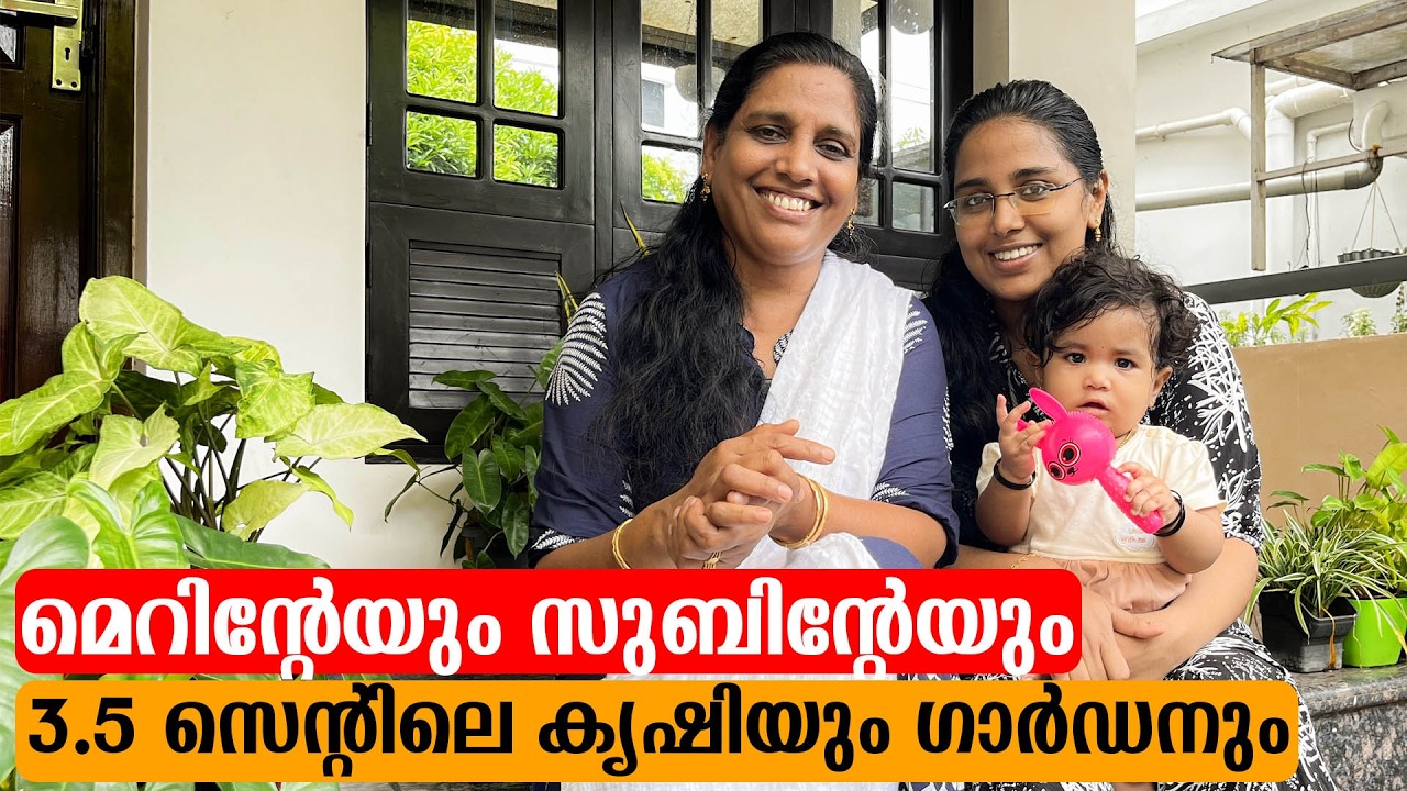 മെറിൻ്റേയും സുബിൻ്റേയും3.5 സെൻ്റിലെ കൃഷിയും ഗാർഡനും 🤩🤩 | Mini's Lifestyle
