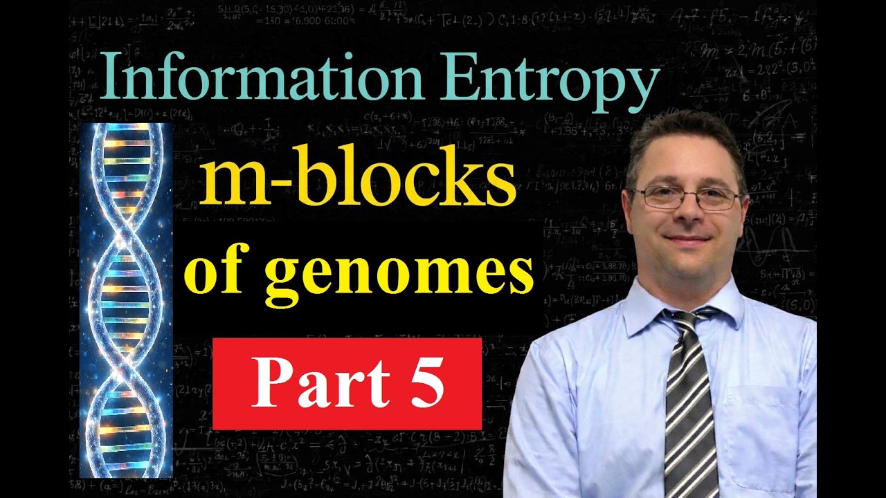 Information entropy - m-blocks of a genome - Part 5