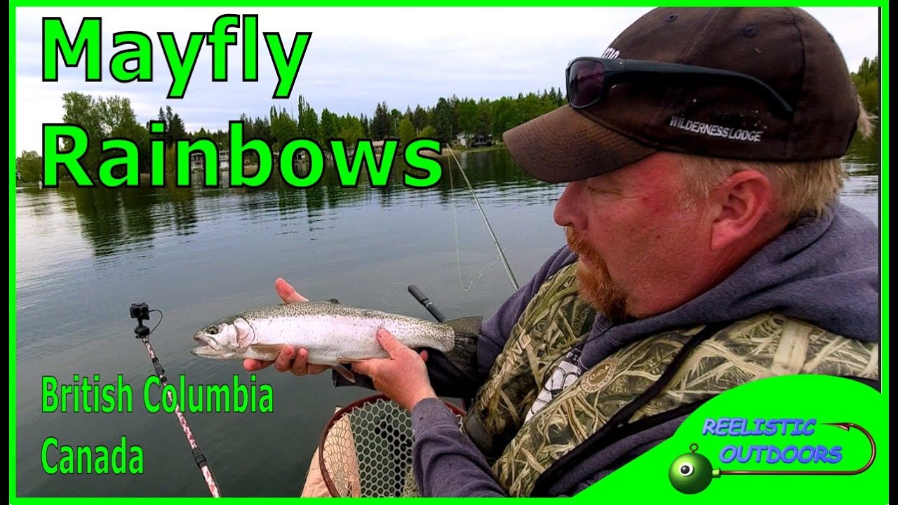 Cariboo Lake Fly Fishing for Rainbow Trout | Spring Mayfly Hatch Action