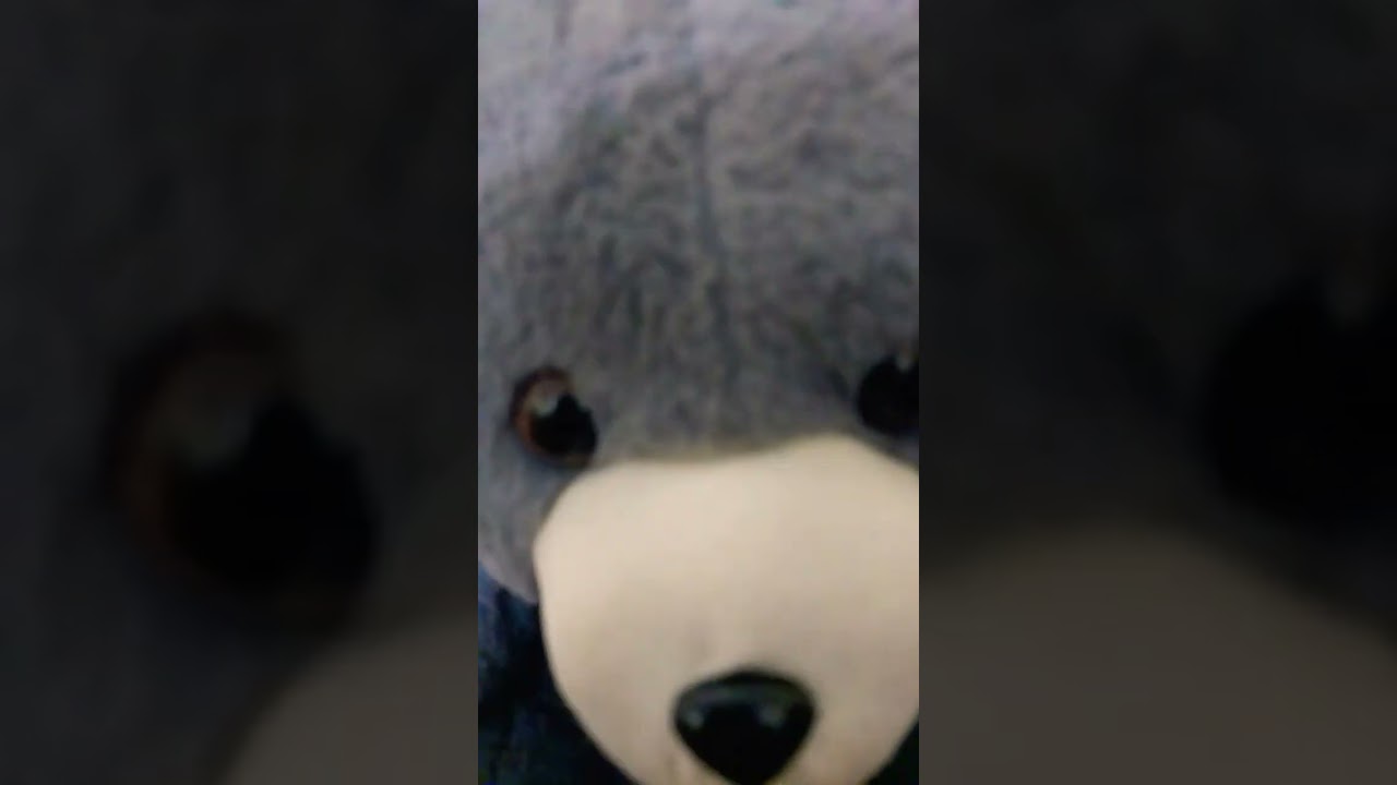 my toys be like🤣😅