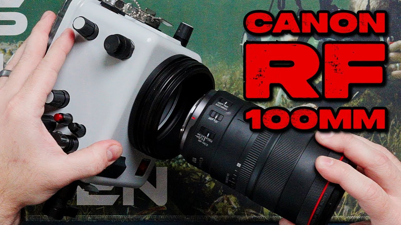 Canon RF 100mm Macro Assembly // Ikelite 200DLM/D Underwater Housing