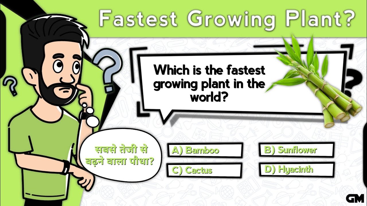 Fastest Growing Plant In World? | General Knowledge Questions | Great Mind Official