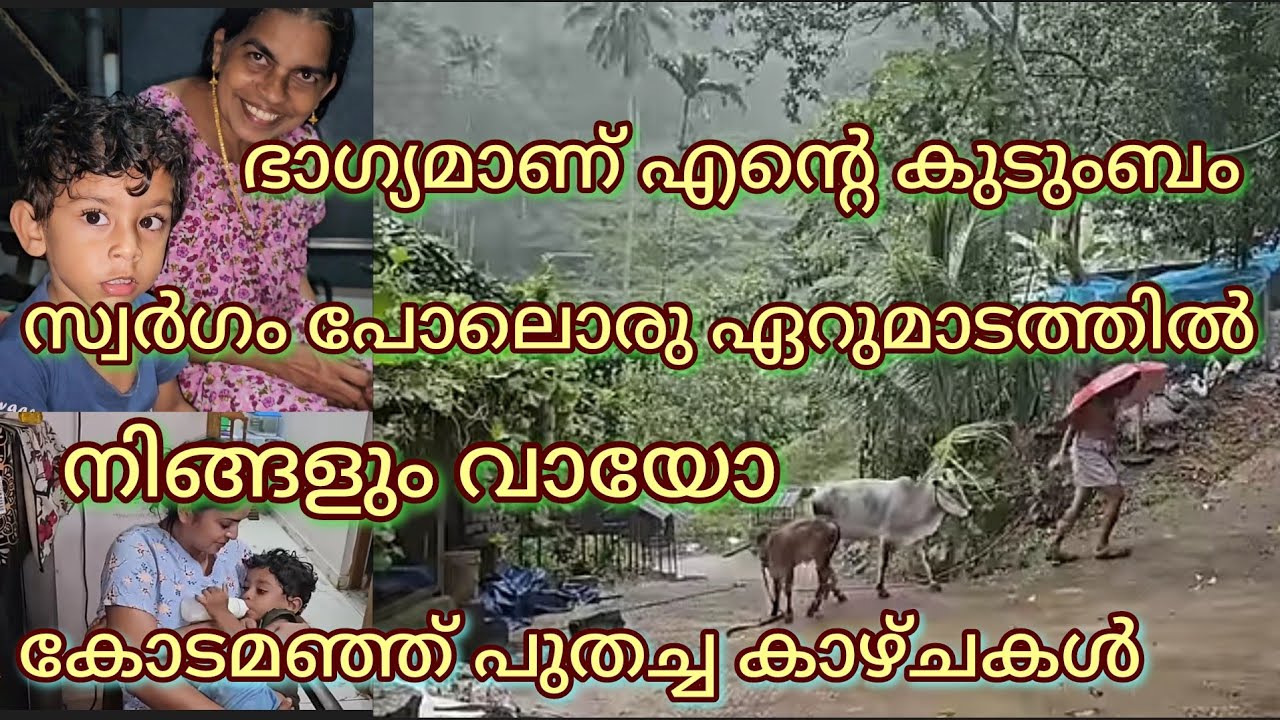 കുറച്ചുനേരം ഞങ്ങളോടൊപ്പം കൂടിക്കോ, അതും ഏറുമാടത്തിൽ. നല്ല മഴയുണ്ടേ 🥰🥰🥰🥰