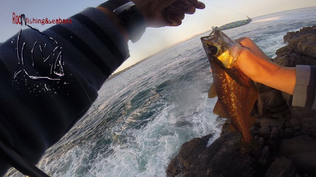 PESCANDO ABADEJOS O ZARRETAS DESDE COSTA