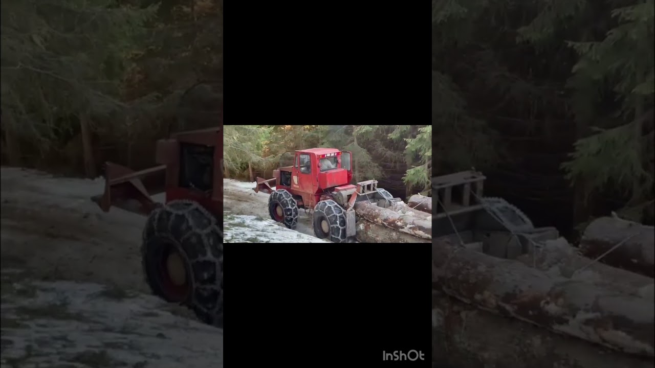 Munca la Pădure .Taf