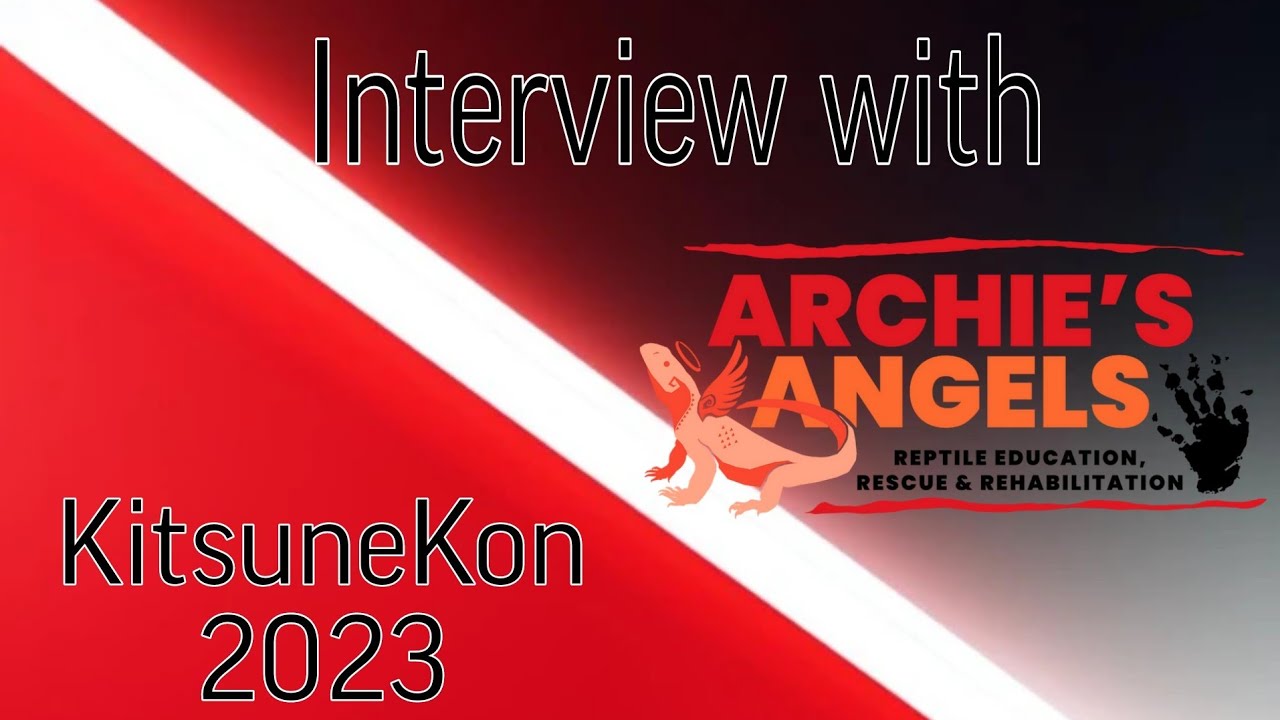 Archies Angels Interview