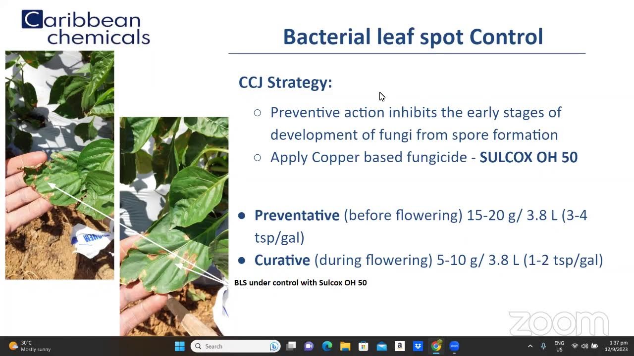 CCJ - FUNGAL CONTROL STRATEGIES