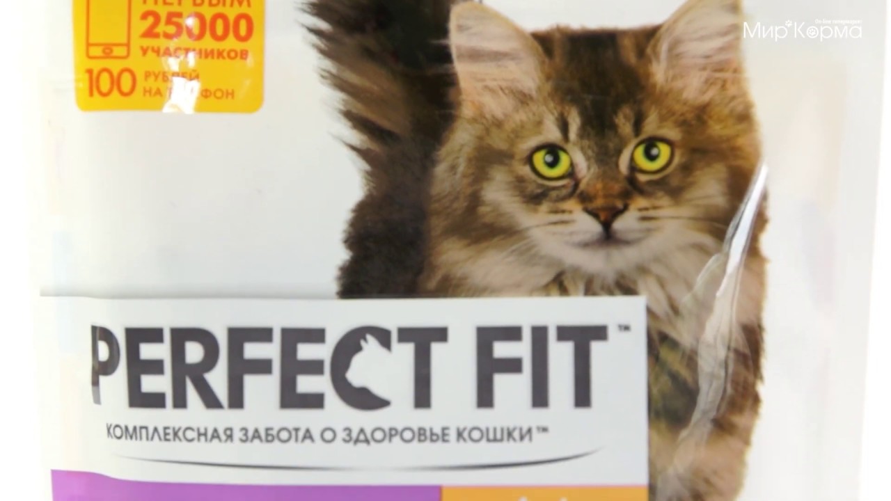 Обзор корма Perfect Fit для котят
