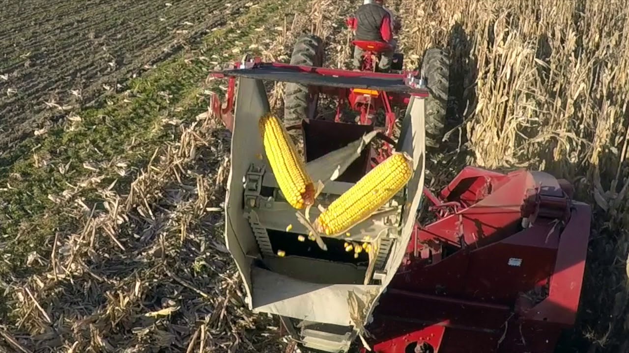 DAVE KLEINE'S 1PR CORNPICKER