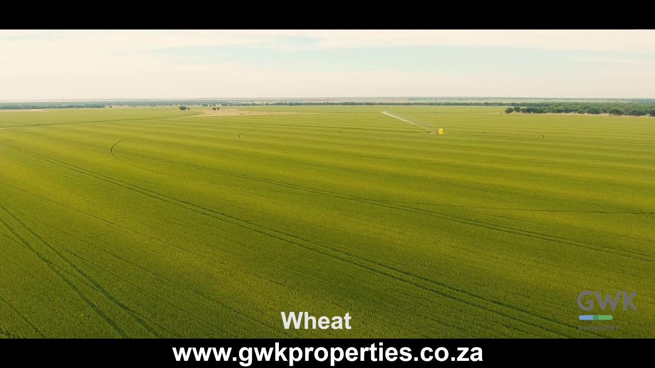 570 ha Irrigation farm Christiana - Bloemhof