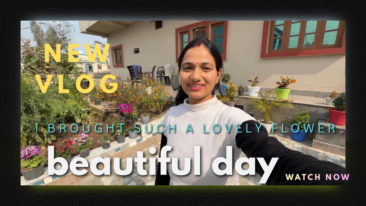 इतनी बड़ी नर्सरी हमारे मनसा देवी में😍 #kidinhouse #dailyvlog #viralvideo