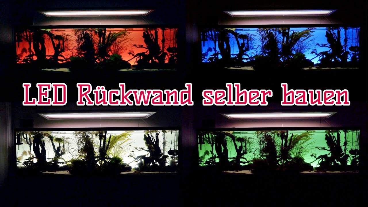 Selbstbau LED Aquarium-Rückwand | Light Screen | AQUaddicted! Bastel-Brothers