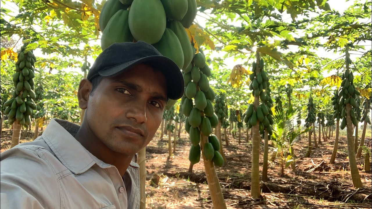 ගේමක් මමත් ගහනවා ❤️