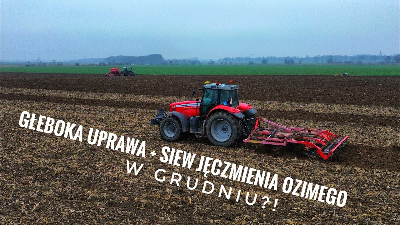 Uprawa głęboka + siew jęczmienia ozimego Grudzień 2025