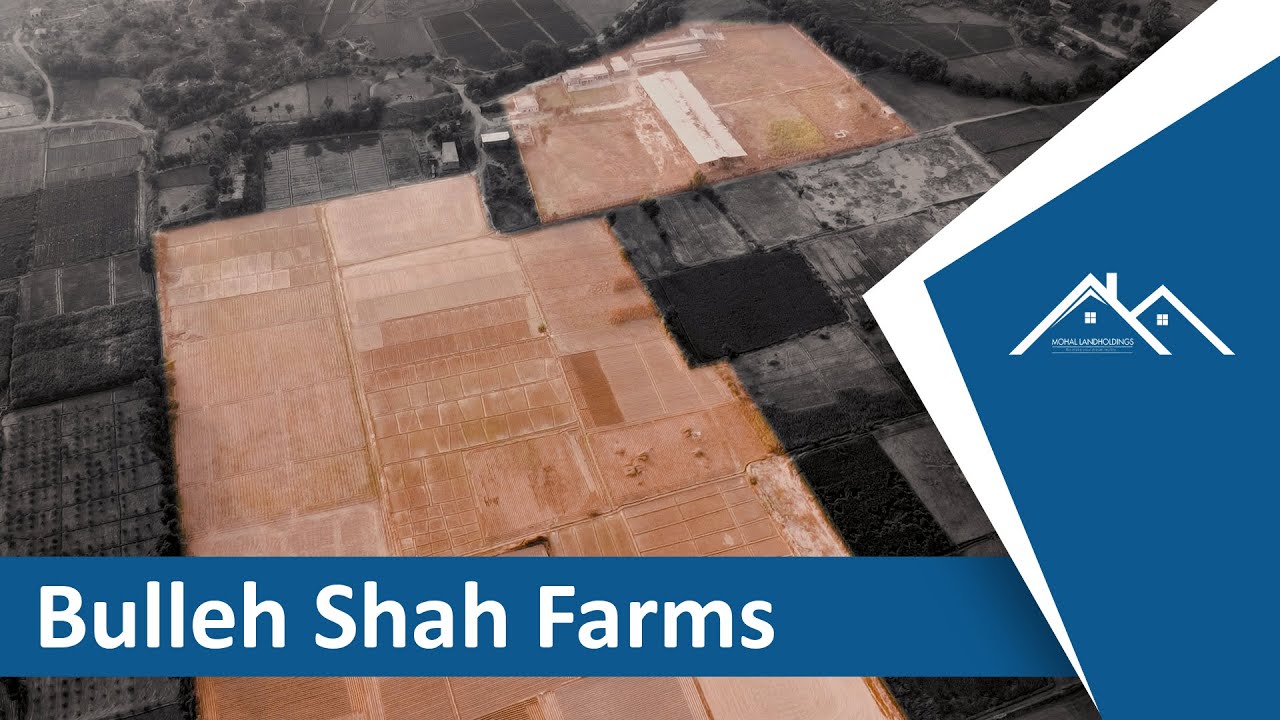 Bulleh Shah Farms | Kasur | Punjab | Mohal Landholdings