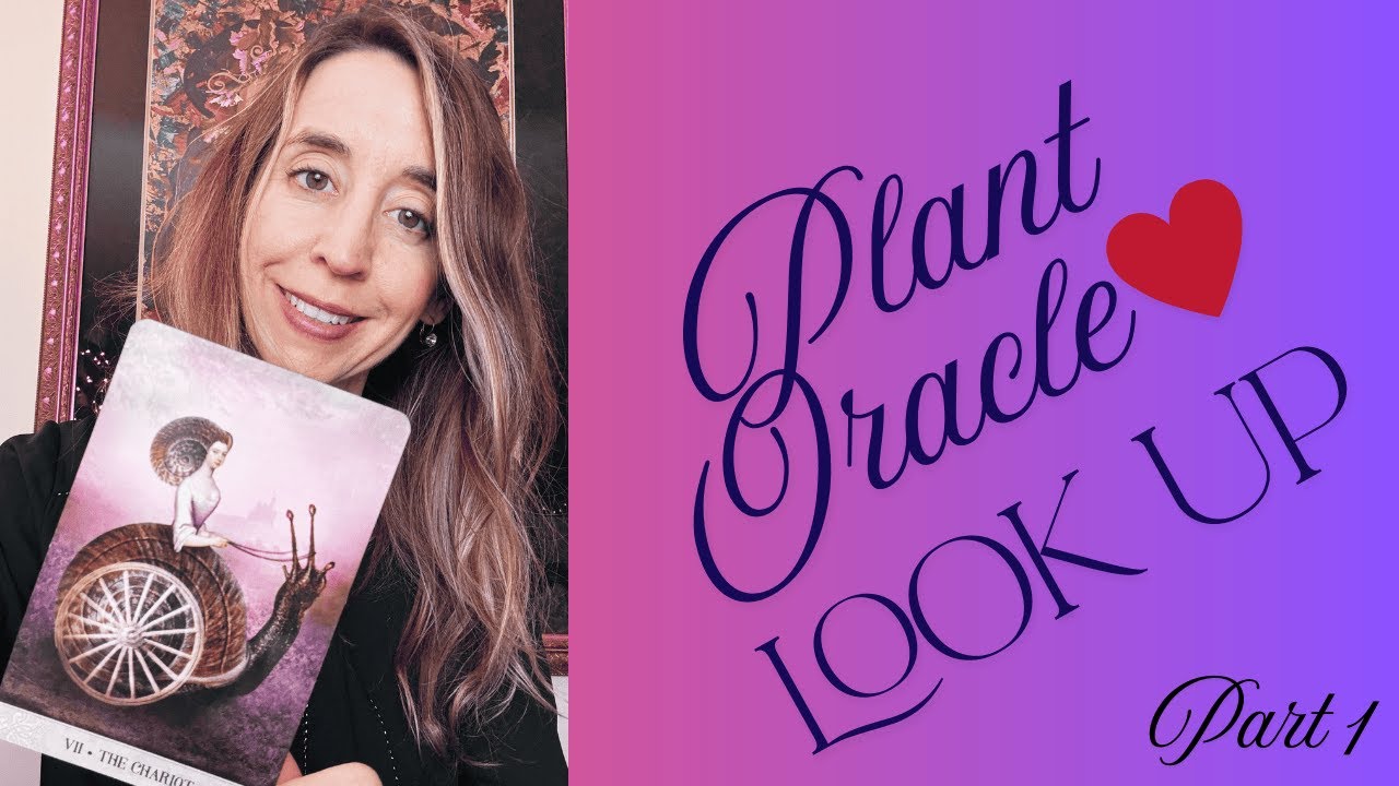 Plant Oracle: Look Up