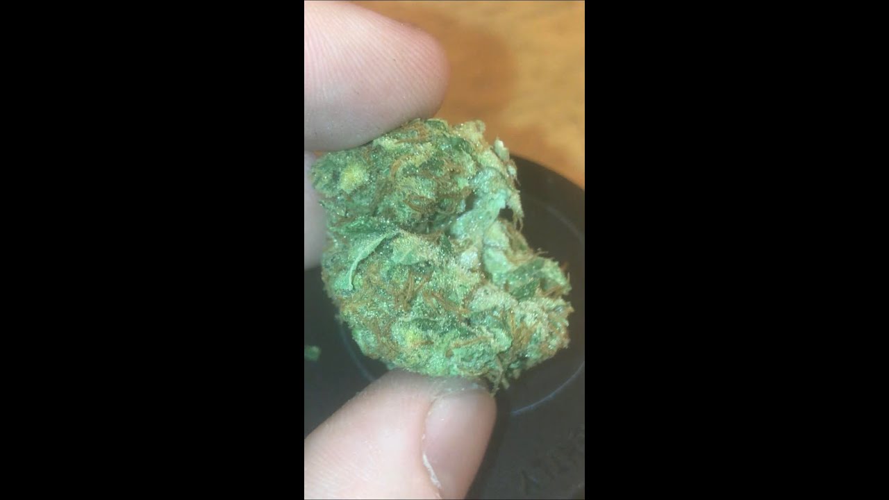 SUPER SOUR LEMON BY VERITAS l STRAIN REVIEW l DENVER DISPO