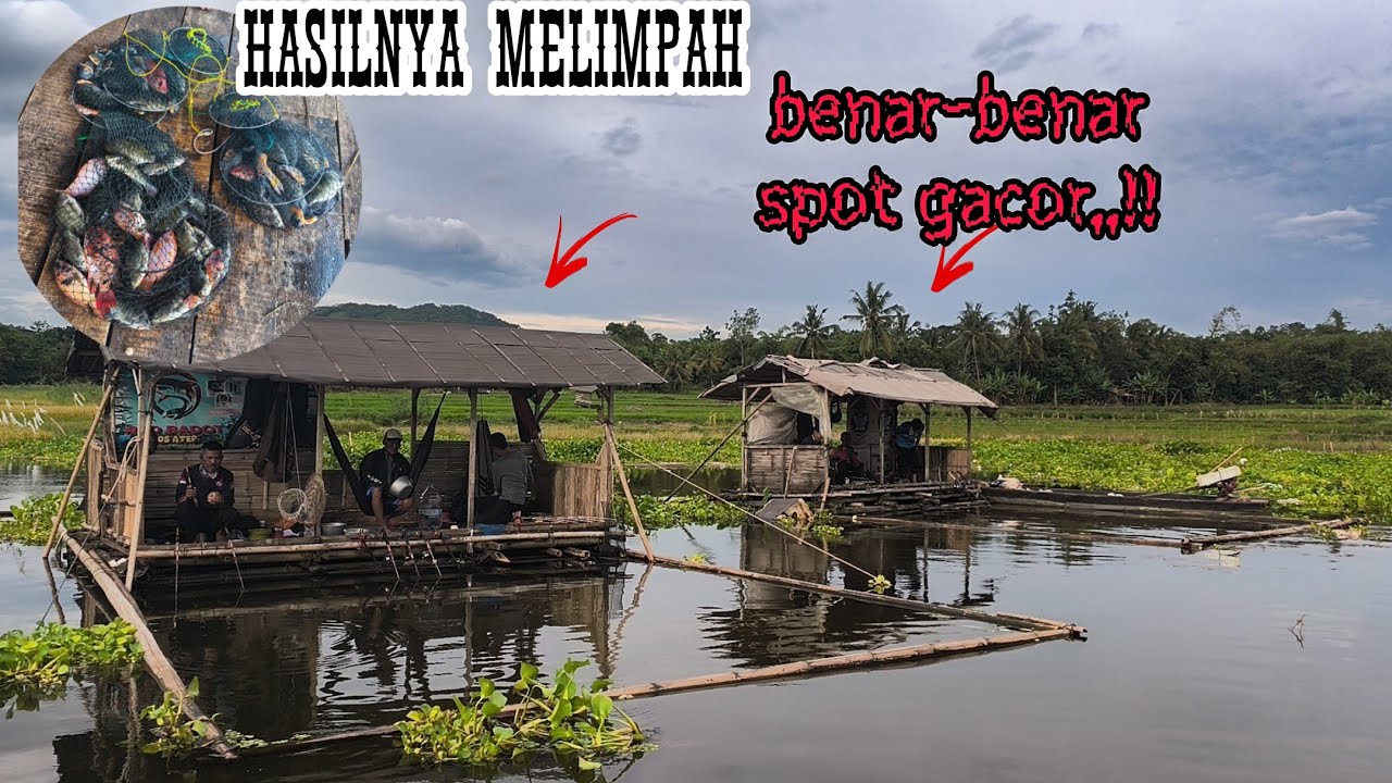 Spot mancing Gacor‼️Hanya dengan Hitungan Menit