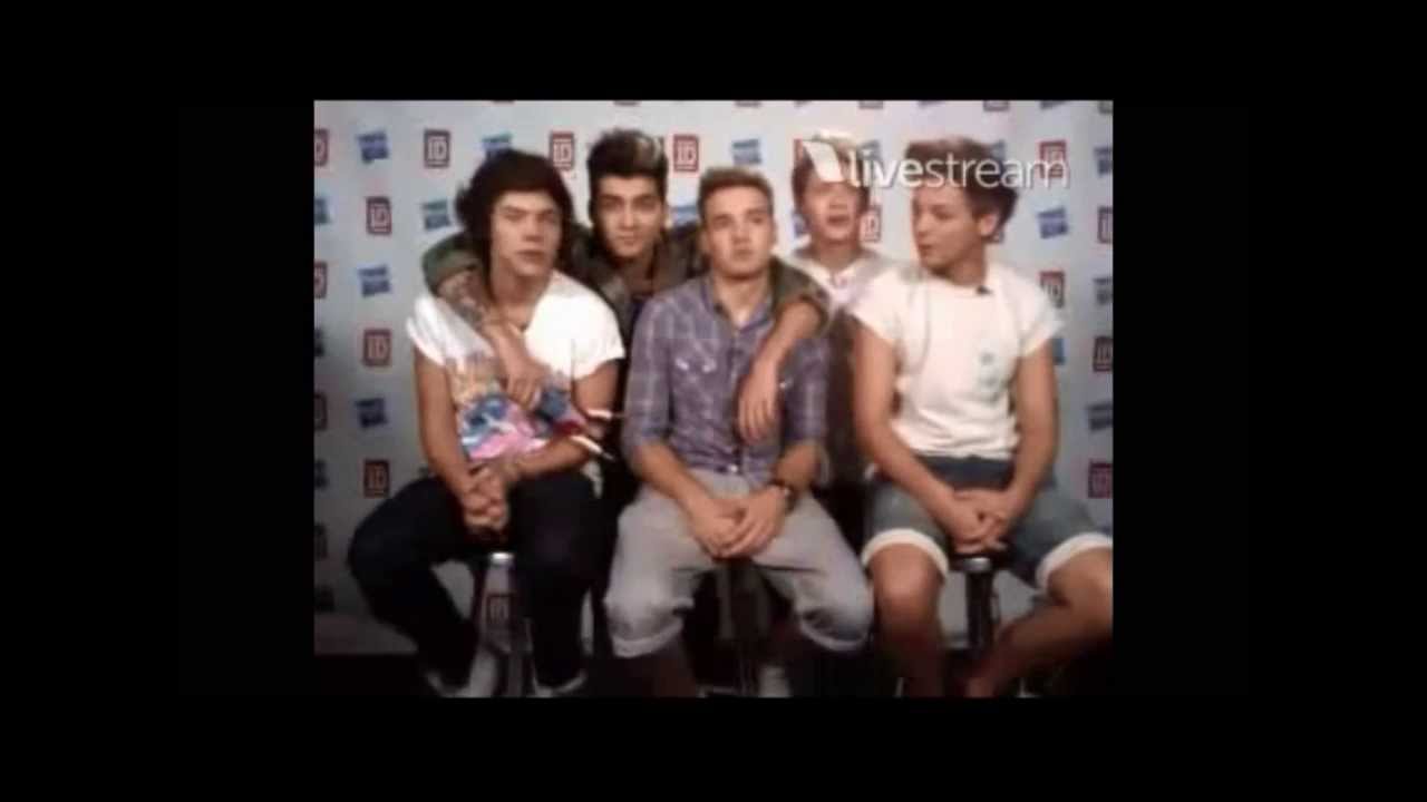 One direction harry speak NL and all the boys twitcam