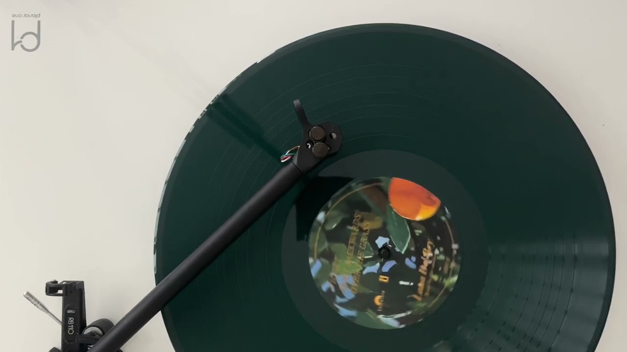 Lana Del Rey - Paradise Is Very Fragile (Vinyl Video)