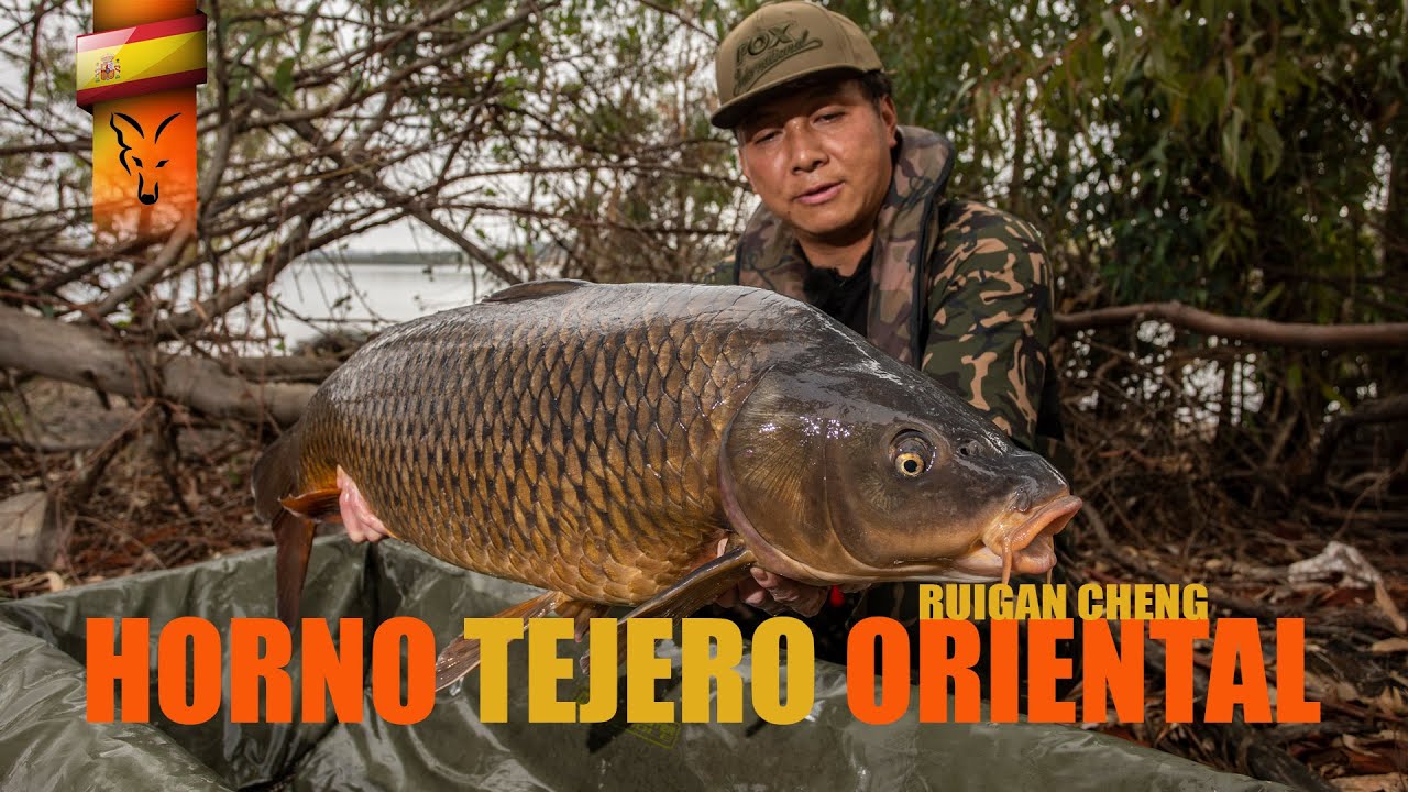HORNO TEJERO ORIENTAL