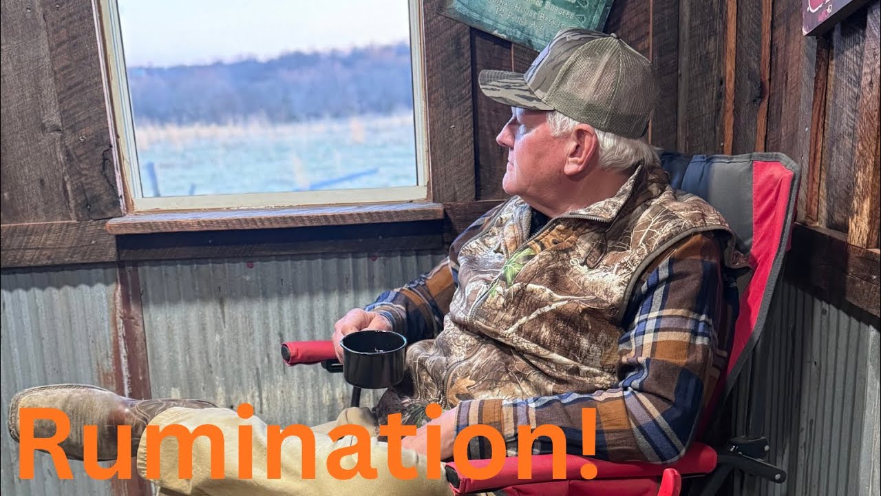 Rumination !! Do you know what this means ? .. please like ,comment,and subscribe .. thank you !! 