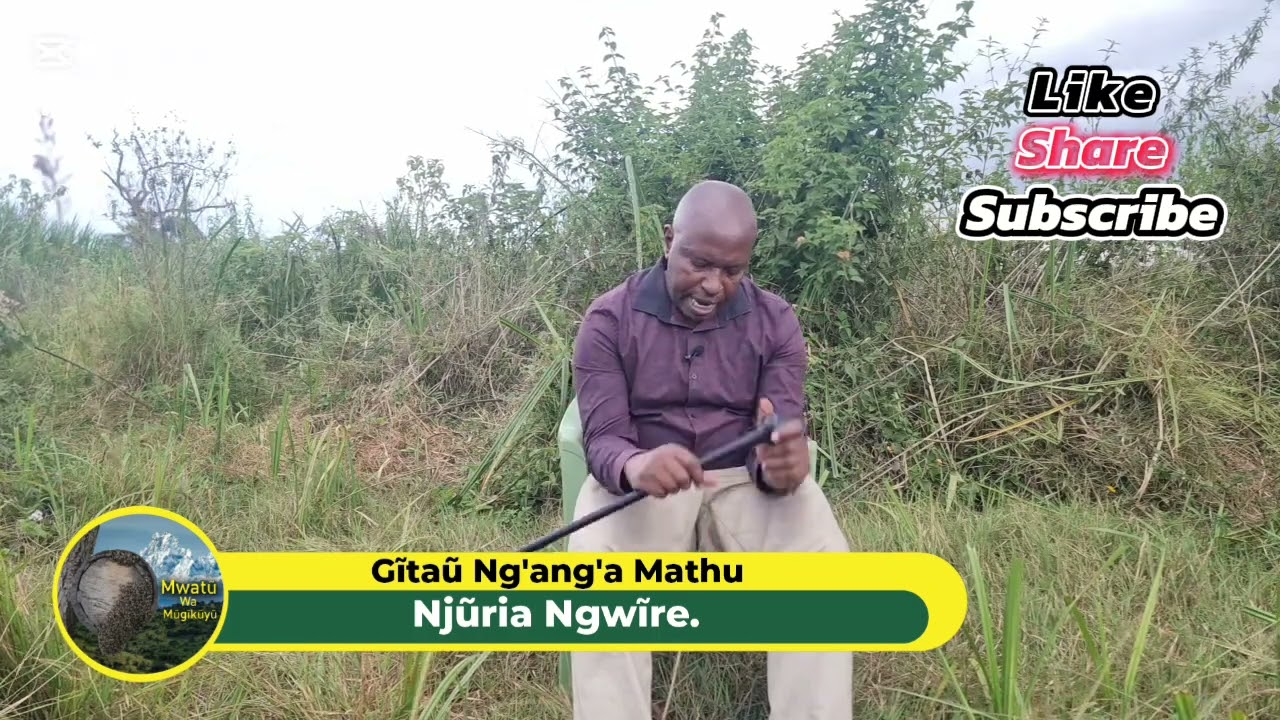 njũria ngwĩre