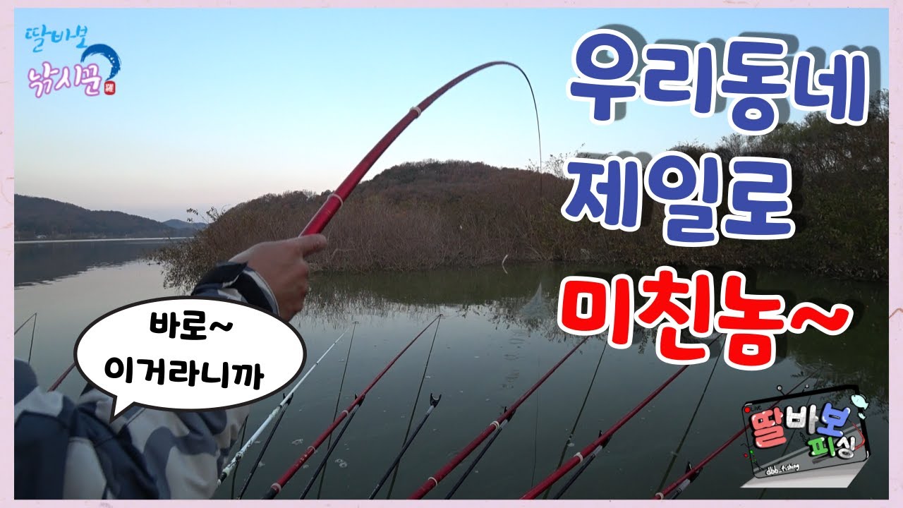 퇴근하고 야습에 만난 멋진 허리급 월척붕어~ #내사랑 #도고지 #월척붕어