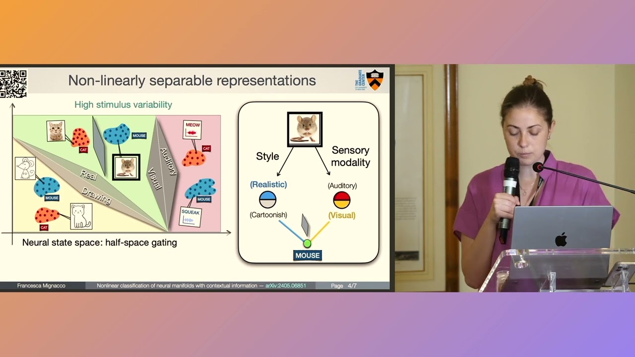Nonlinear manifold capacity theory with contextual information - Francesca Mignacco