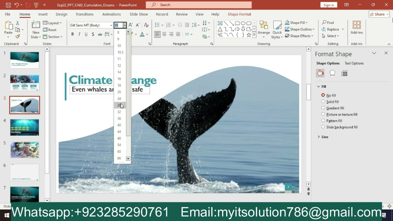 Exp22 PowerPoint Ch02 Cumulative Science Club